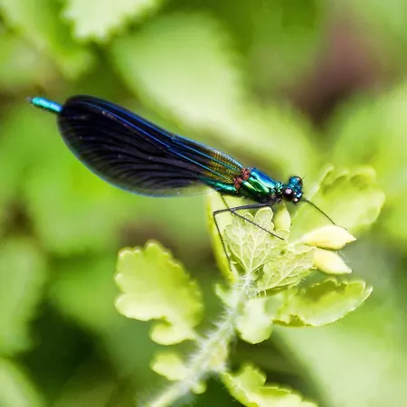 Apartamento Casucas Del Cartero