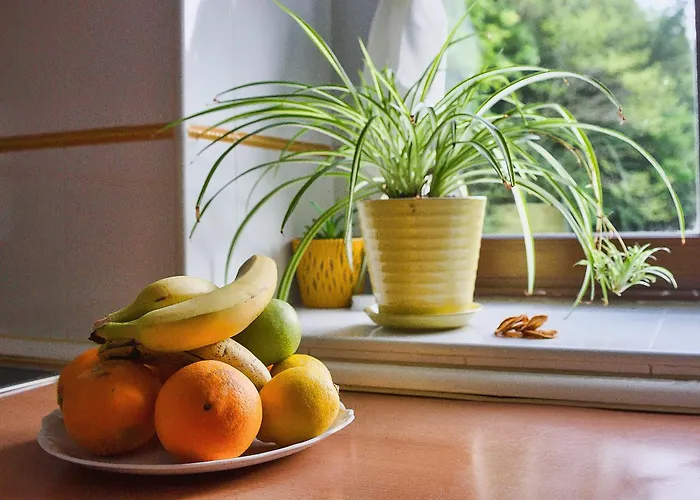 Casucas Del Cartero アパート Cantabria