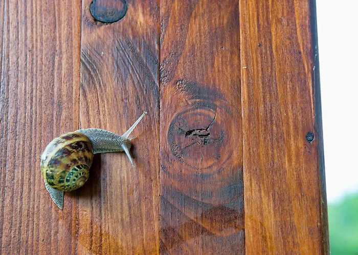 アパート Casucas Del Cartero